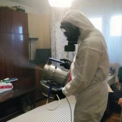 Дезинфекция от клопов в Николаевске