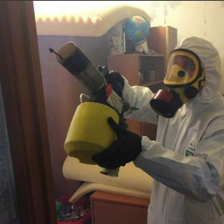 Уничтожение клопов в квартире. Николаевск